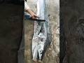 40kg Marlin fish cutting skills #shorts