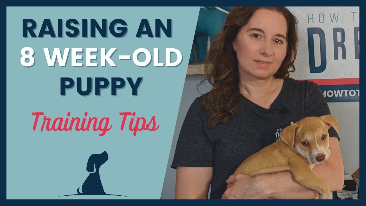 How Long Can You Leave an 8-Week-Old Puppy in a Crate? Essential Tips