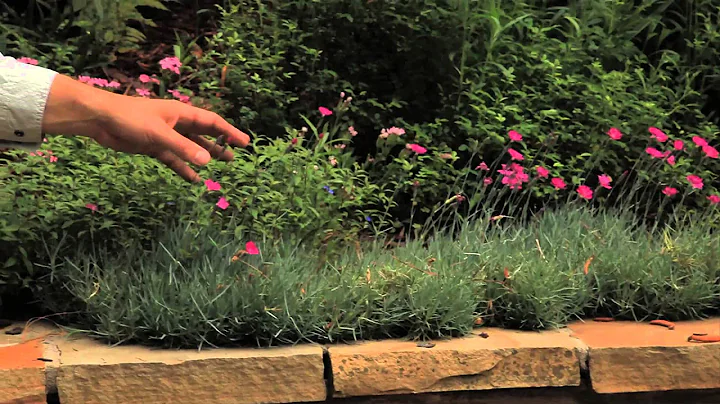 Planting Designs for Tiers : Landscaping Designs &...