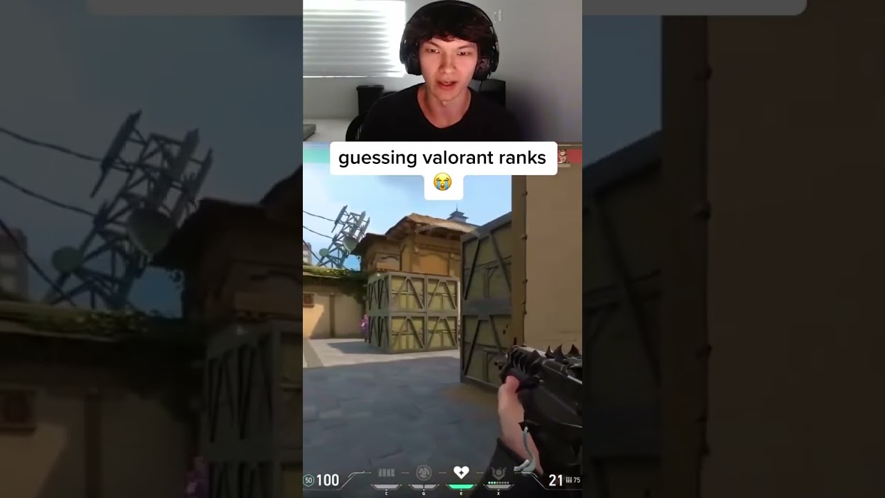 SINATRAA GUESSING VALORANT RANKS 💀💀