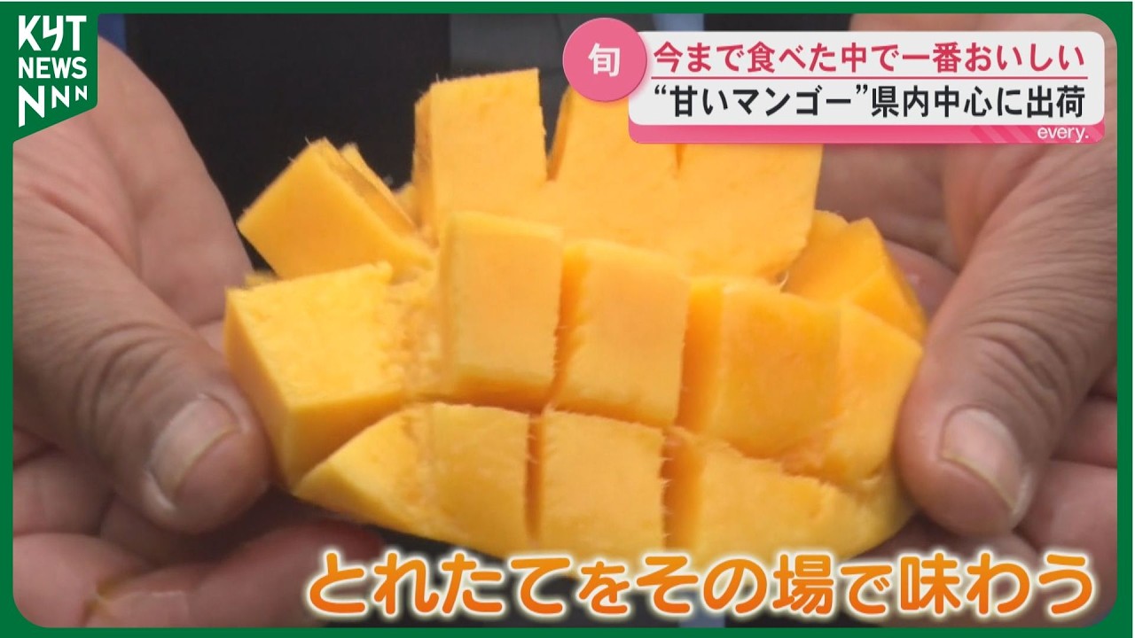 The most delicious mango I've ever tasted!