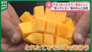 The most delicious mango I've ever tasted!