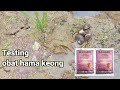 Obat hama keong sawah||MOLUSKISIDA BENTAN