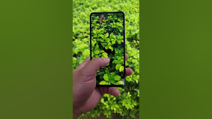 Samsung Galaxy A52 Camera Test #shorts #Samsung