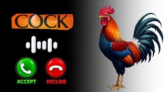 Incoming Call Ringtone | Cock Ringtone | Ringtone Download | Best Ringtone | Cock New Ringtone 2026 