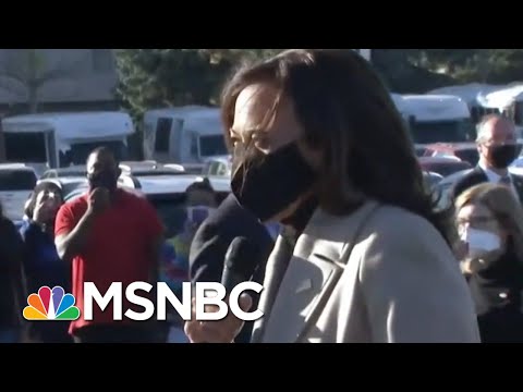 Kamala Harris Speaks To Supporters In Detroit During Final Campaign Stops | MSNBC