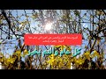 الربيع بسمة الأرض والشمس هي العين التي ترقب هذا الجمال وتغمره بالدفء تهنئة عيد