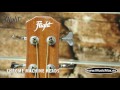 Flight AB - 10 Acoustic bass guitar