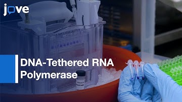 DNA-Tethered RNA Polymerase: Programmable Transcription & Molecular Computation l Protocol Preview