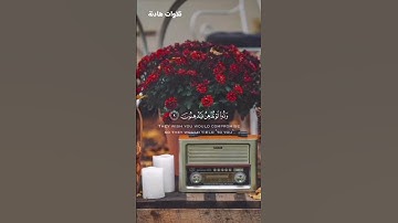 ||#تلاوة هادئة مريحة للأعصاب😴🎧#سورة #القلم #تلاوة_مميزة 🌼 #اكسبلور