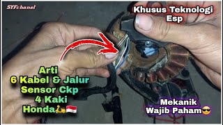 Jalur Dan Warna Kabel Sensor Ckp 4 Kaki Honda Esp🛵🇮🇩 Jalur Dan Warna Kabel Sensor Ckp 4 Kaki Honda Esp🛵🇮🇩