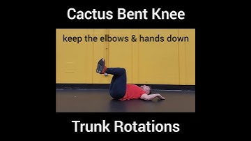 Cactus Bent Knee Trunk Rotation