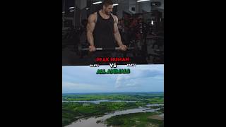 Peak Human Vs All Animals | Part 1 | #1v1 #gym #human #shorts #youtubeshorts