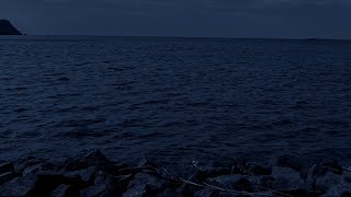 【MV】ガーランドfeat.初音ミク/縄侘
