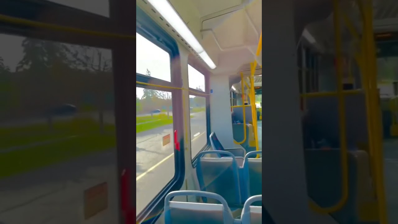 CANADA 🍁 (BRAMPTON ) .. Student life ... India to canada 🇨🇦🇨🇦