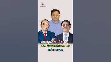 Chân Dung 3 Đại Gia Đề Xuất Làm Đường Sắt Cao Tốc Bắc Nam