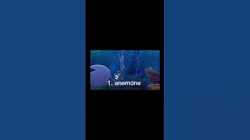 ask your friend who hasn