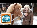 Islandpferd | Information für Kinder | Anna und die Haustiere