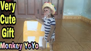Monkey Yoyo received the third gift of Ms Rachel Mendoza | Monkey Baby Yoyo