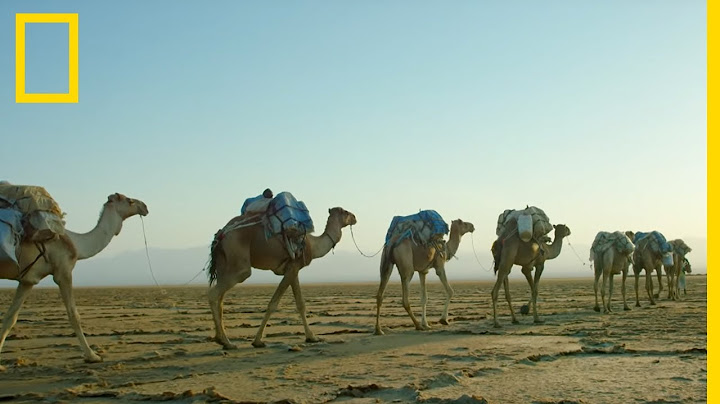 Tempête de sable dans le Désert Danakil
