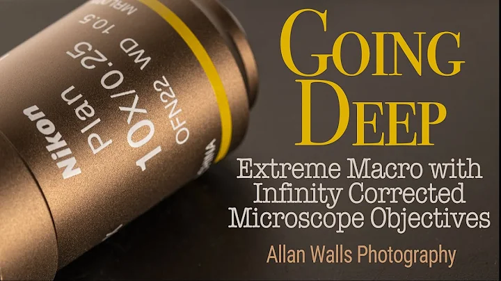 Going Deep - Part I - Extreme macro with infinity corrected microscope objectives