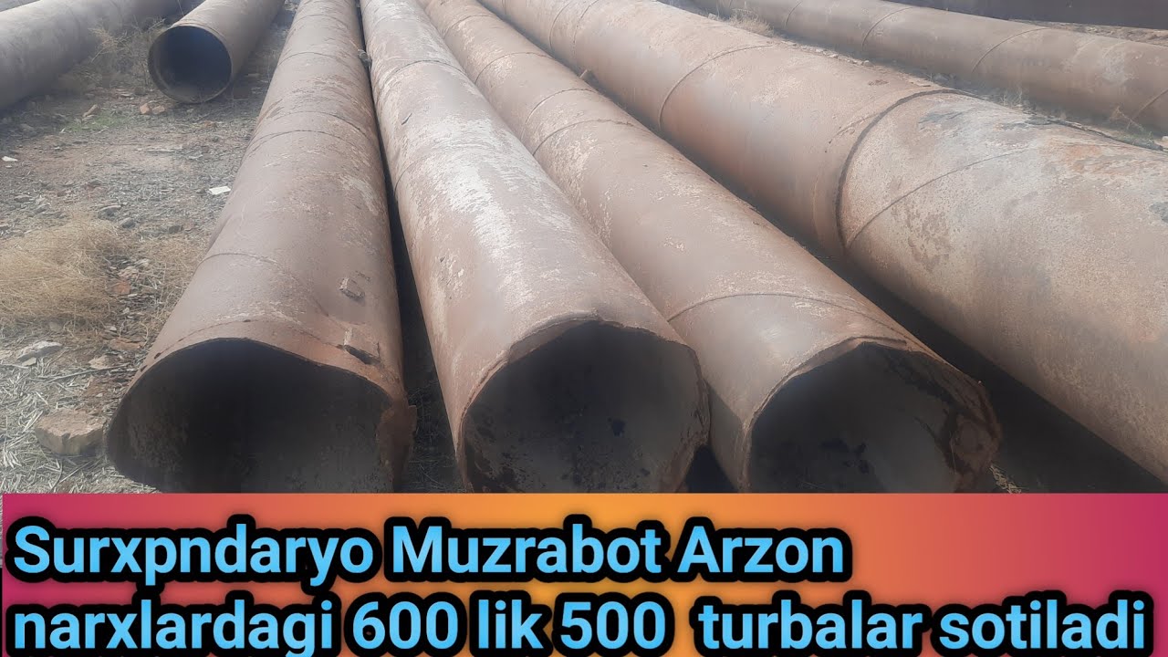 Авто элон сурхондаре