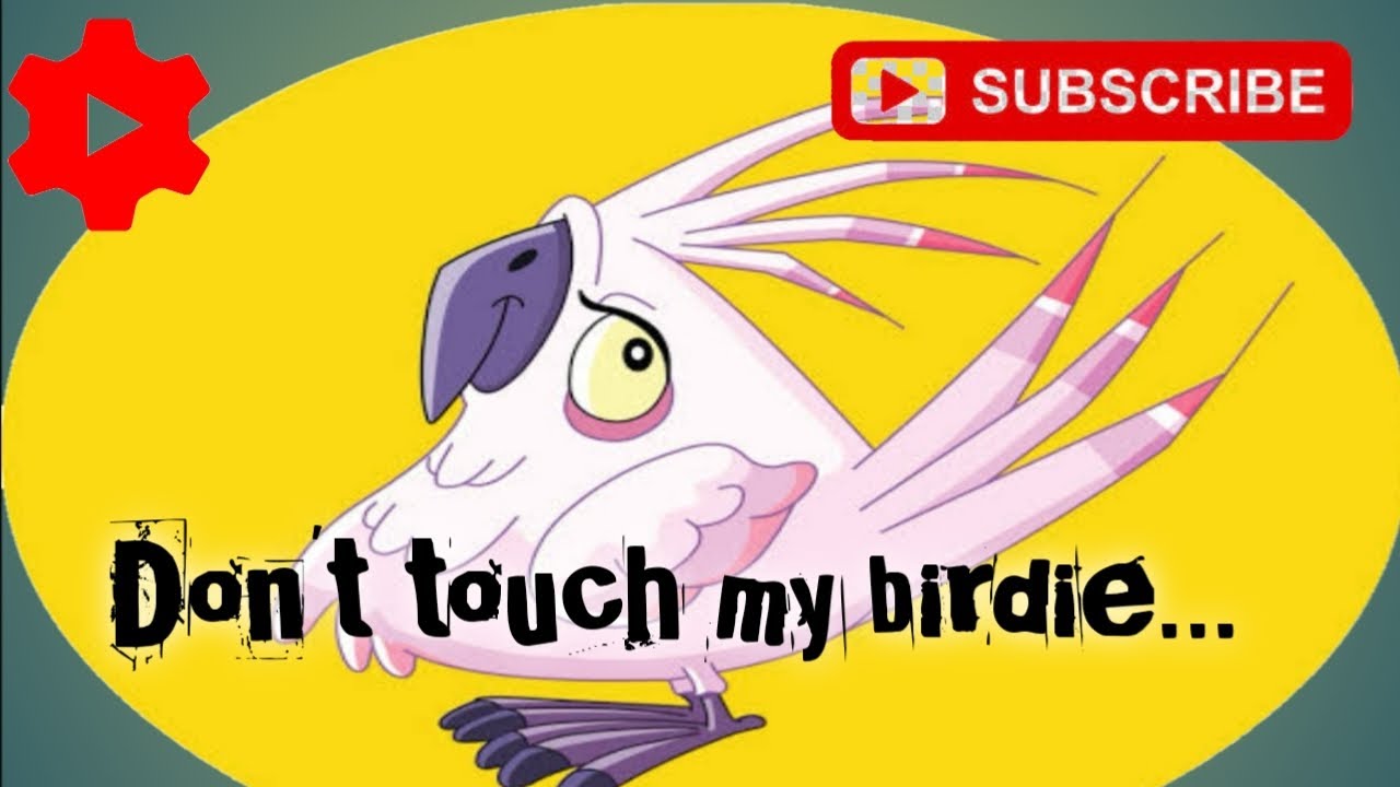 Dont Touch My Birdie YouTube Dont touch my birdie youtube