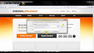 How Install Venoxis-WoW Patch