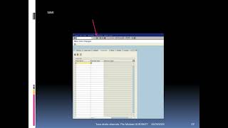 GU SAP BC SU10 Mass Changes