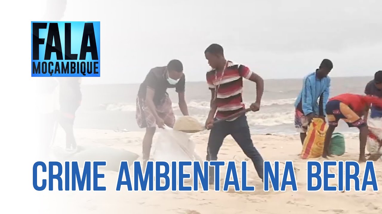 CRIME AMBIENTAL NA BEIRA, 31/01/2022