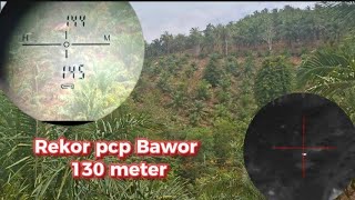 Long range wild boar hunting using PCP Bawor