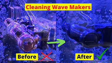 How To Clean Your Wave Makers: Walkthrough