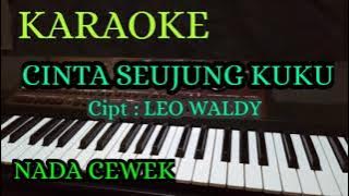 CINTA SEUJUNG KUKU || CIPTAAN LEO WALDY || KARAOKE NADA CEWEK   LIRICK