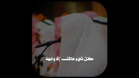 ﴿كل شيء هالك إلا وجهه﴾ | ترتيل جميل يفوق الوصف لأواخر #سورة_القصص | لفضيلة الشيخ #بدر_التركي