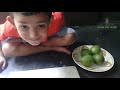 Village Food Factory Youtube | Kids Eating Fresh guava With Salt and Chilli -My Village Food Factory