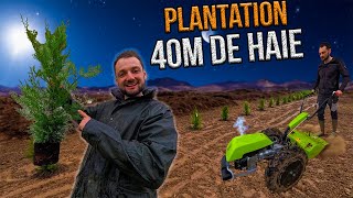 Je Plante une Haie de SAPIN de 40m !