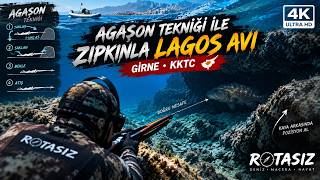 Agaşon tekniği ile zıpkınla Lagos avı & Spearfishing for grouper using the ambush technique