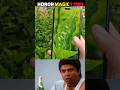 Honor 🔥 Magic 7Pro  DSLR 📷 Camera  #honor #guptaguide #shorts #smartphone