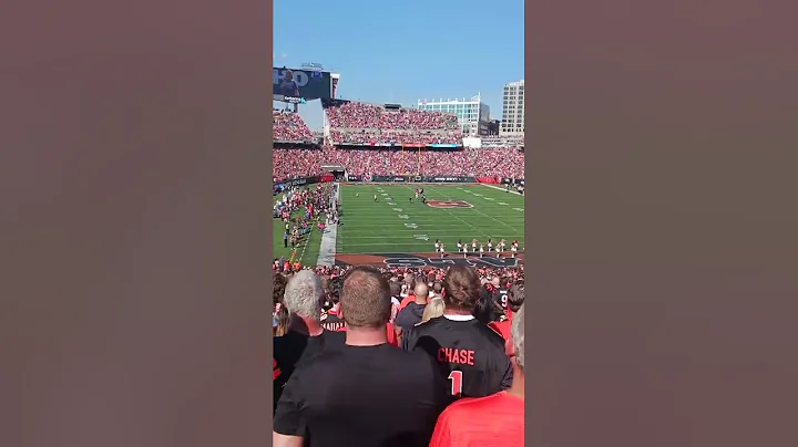 fly bye scares the shit out of everybody  !! paycor stadium 🏟 Cincinnati Bengals Oct 23 2022 GOTEM ! - DayDayNews