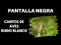 Canto de Pájaros / AVES Pantalla Negra Para Dormir ⚫🐦 [ASMR 10 horas]