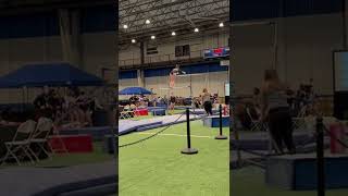 Level 9 Bars 9.375 (9.9 SV)