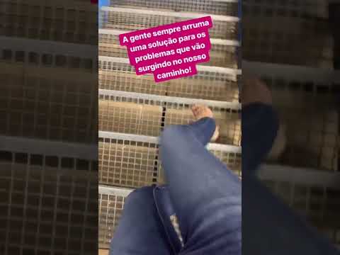 Belíssimos pés de Fabiana Scaranzi