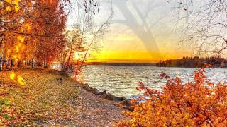 (HD 1080p CC) "Yellow" by Coldplay, Vitamin String Quartet
