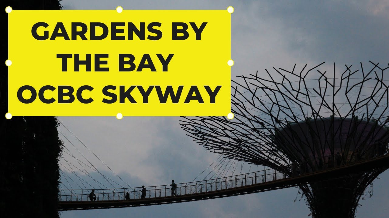 SINGAPORE | OCBC Skyway walk at Gardens By The Bay