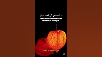 {وَلَا تَلْبِسُوا الْحَقَّ بِالْبَاطِلِ وَتَكْتُمُوا }تلاوة قديمة للشيخ سعود الشريم |سورة البقرة