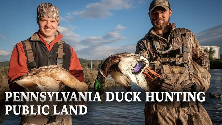 Pennsylvania Duck Hunting | Walk In Public Land Duck Hunt