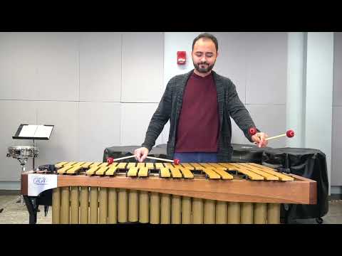Ney Rosauro - VIBRAPHONE CONCERTO SUITE for solo vibraphone