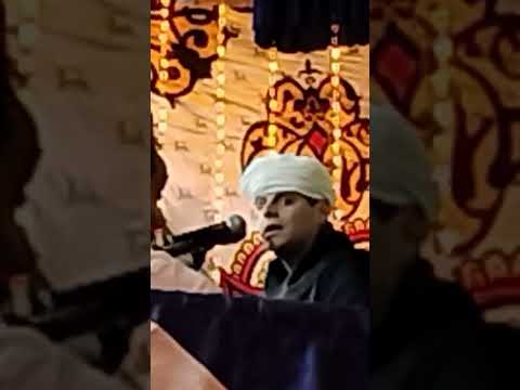 محمود التهامى فى الإحتفال بالليلة الختامية لمولد سيدى عبد الرحيم القناوى أسد الصعيد