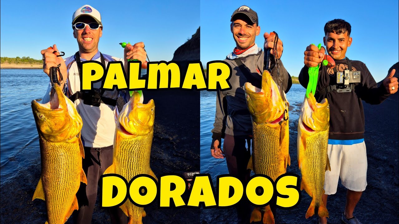 PESCA de DORADOS GIGANTES en la REPRESA DE PALMAR, URUGUAY