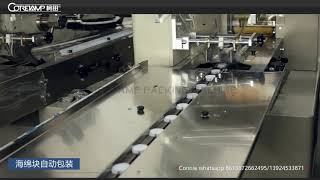 Automatic sponge packing machine for flow pack horizontal packing machine
